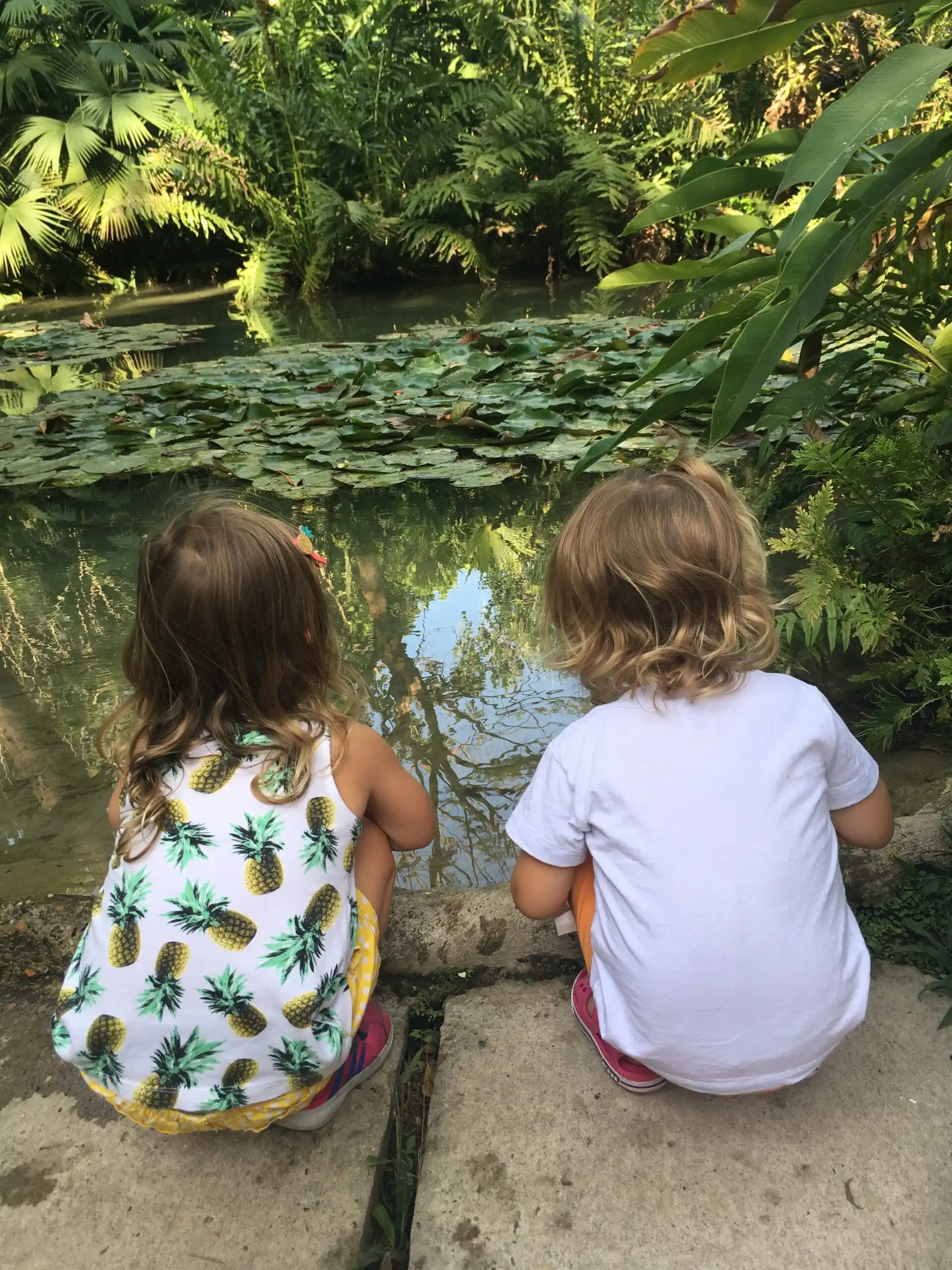 Two young children sit at the edge of a pond covered with green lily pads while dense tropical foliage surrounds the water. The scene highlights a calm and nature focused moment within the Cartagena botanical gardens.