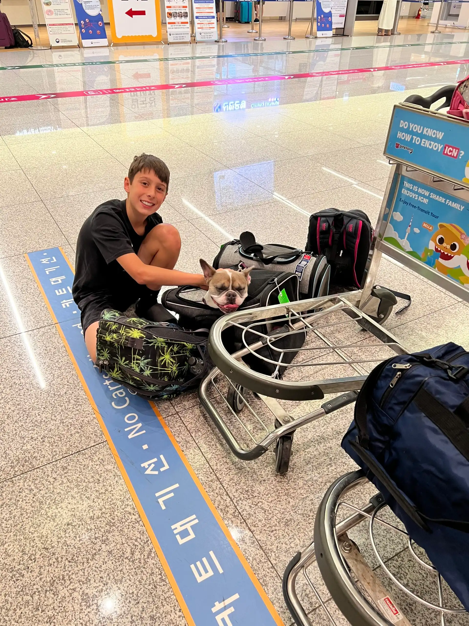 Relocating overseas with pets